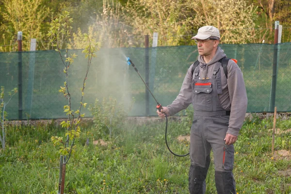 Pria itu bekerja di kebun musim semi dan penyemprotan dengan bantuan bahan kimia yang dapat diisi ulang untuk penyemprot terhadap hama dan serangga di pohon buah — Stok Foto