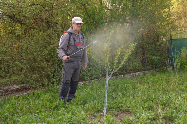 Pria itu bekerja di kebun musim semi dan penyemprotan dengan bantuan bahan kimia yang dapat diisi ulang untuk penyemprot terhadap hama dan serangga di pohon buah — Stok Foto