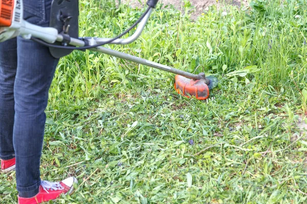 Woman farmer mows the grass in the backyard using string trimmer - Stock-foto