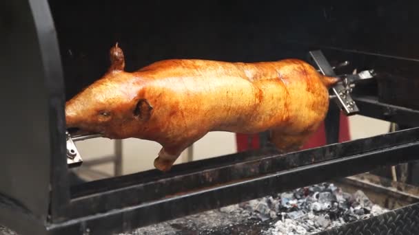 Traditional Way Cook Young Piglet Grill Pig Rotates Slowly Special — Stockvideo