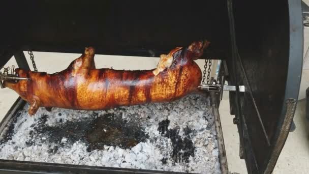 Traditional Way Cook Young Piglet Grill Pig Rotates Slowly Special — Stockvideo