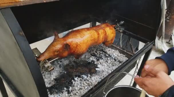 Traditional Way Cook Young Piglet Grill Pig Rotates Slowly Special — Vídeos de Stock