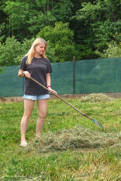 Seorang Gadis Yang Memilih Rumput Yang Baru Dipotong Taman Pada — Stok Foto
