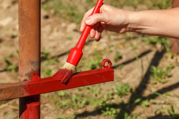 Konstruksi Logam Untuk Penggunaan Lebih Lanjut Kebun Anggur Pipa Dicat — Stok Foto