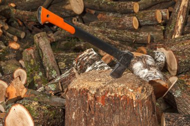 Odunları kırmak için özel bir balta kütüğe takılmış. Balta, kütüğü kurulama ve sonrasında kışın ısınma kavgası için ayırır..