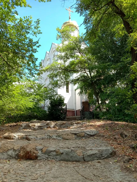 Ormandaki tapınağa giden eski adımlar.