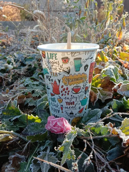 Bahçenin arka planında yapraklar olan kahve fincanı. Sonbahar konsepti