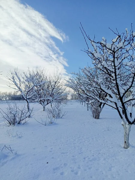 Karlı güzel kış manzarası