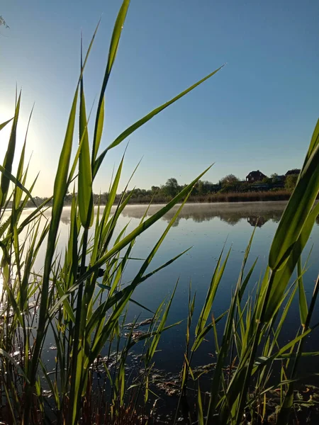 Göleti, otları ve bulutları olan güzel bir manzara.