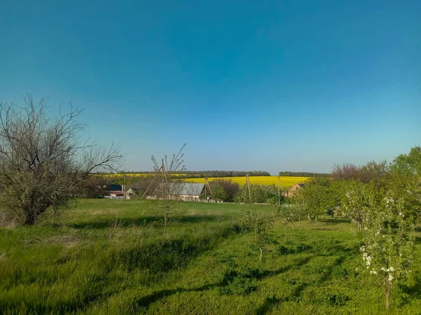 Ağacı ve küçük bir Ukrayna köyü olan güzel bir manzara.