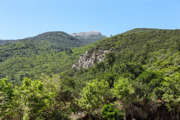 Kusadasi Turkey Června 2021 Dilekův Národní Park Jsou Hory Pokryté — Stock fotografie
