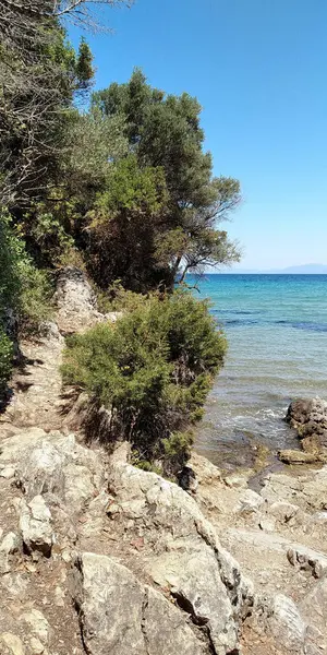 Kusadasi Turkey Juni 2021 Det Orörd Natur Den Steniga Kusten — Stockfoto