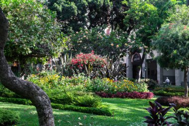 FUNCHAL, PORTUGAL - 20 AĞUSTOS 2021: Bu şehir merkezindeki bir belediye parkı.