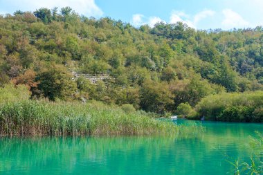 PLITVICE Gölü Rezerv, CROATIA - 13 Eylül 2016: Bu olağandışı bir su rengine sahip göllerden birinin yamacına inen yılan izi.