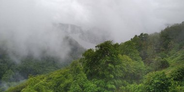 WAHAU VALLEY, AUSTRIA - 12 Mayıs 2019: Bu Wachau Vadisi 'ndeki sisli ve nemli bahar havasında Tuna Nehri' nin görüntüsü.