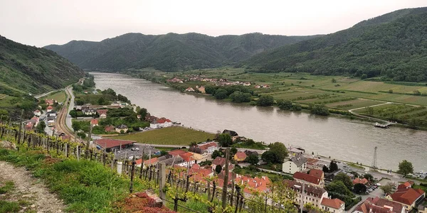 Spitz Oostenrijk Mei 2019 Dit Een Uitzicht Donau Wachau Vallei — Stockfoto