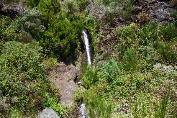 这是在马德拉有瀑布的许多山溪之一 — 图库照片