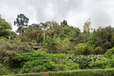 FUNCHAL, PORTUGAL - 24 Ağustos 2021: Bu Botanik Bahçesinin alt kısmının genel bir görüntüsü.