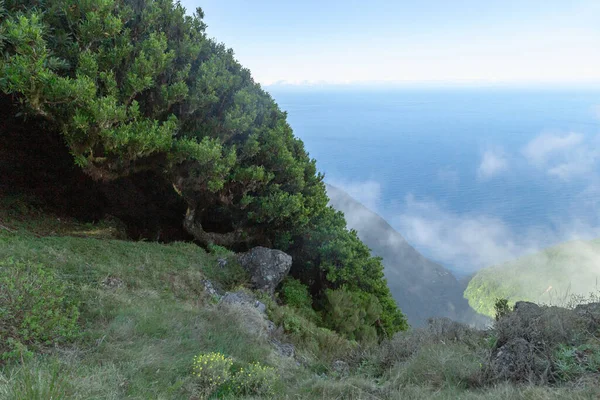Madeira Portugal August 2021 View Atlantic Ocean High Mountain Plateau — Stock Photo, Image