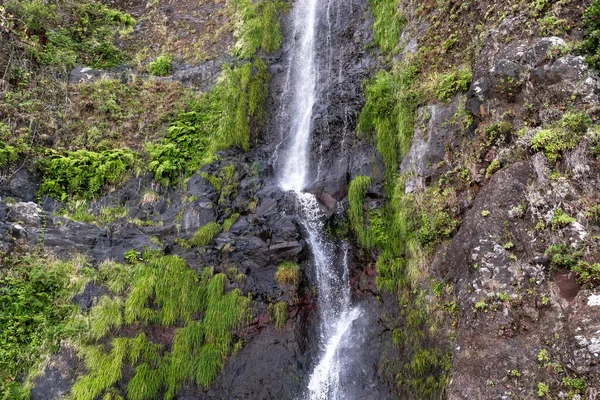 Madeira Portugal 2021年8月23日 这是山体瀑布从陡峭的山坡上滑落下来的碎片 — 图库照片