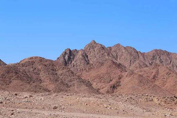 색깔의아 사막의 — 스톡 사진