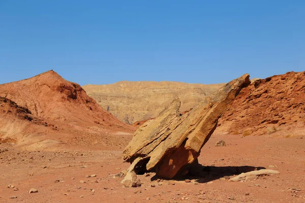 그것은 사막의 돌조각들 과맞닿아 작용을 조각이다 — 스톡 사진