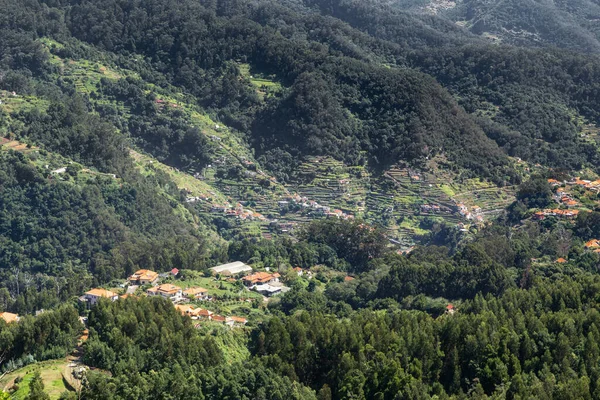 Machico Portugal Ağustos 2021 Dağ Yamaçlarının Teraslı Tarımsal Gelişiminin Bir — Stok fotoğraf