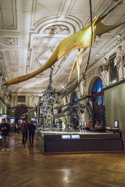 Vienna Áustria Maio 2019 Este Salão Paleontologia Museu História Natural — Fotografia de Stock