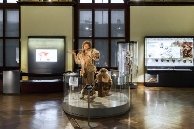 Vienna, AUSTRIA - 15 Mayıs 2019: Bu, ilkel insanların Doğa Tarihi Müzesi Antropoloji Odası 'nda sergilenen bir yeniden yapılanmasıdır..