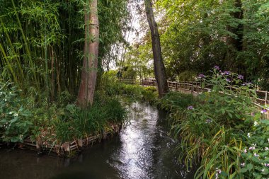 BÜYÜK, FRANCE - 31 AĞUSTOS 2019: Bu Claude Monet 'in müze malikanesindeki Su Bahçesi' ndeki bambu korusu boyunca bir dere..