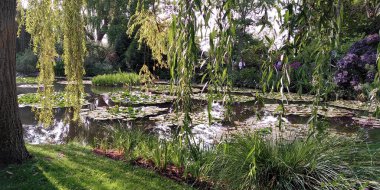 BÜYÜK, FRANCE - 31 AĞUSTOS 2019: Bu Claude Monet Estate Müzesi 'nin Su Bahçesi' ndeki ünlü nilüfer göleti.
