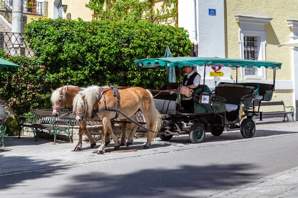 Wolfgang Salzkammergut Austria May 2019 Vintage Horse Drawn Carriage Pleasure — Stock Photo, Image