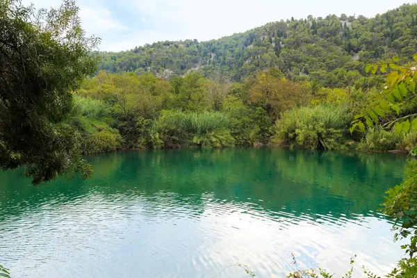 Croácia Setembro 2016 Este Dos Pequenos Lagos Montanha Arborizados Parque — Fotografia de Stock