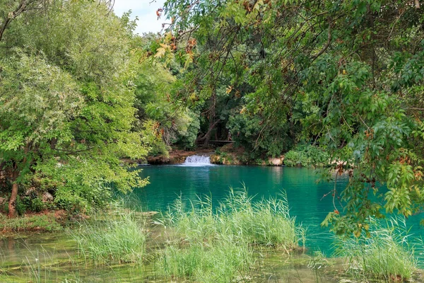 Croatia Eylül 2016 Krka Ulusal Doğa Parkı Ndaki Küçük Ormanlı — Stok fotoğraf