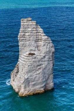 Bu, Normandiya kıyılarında bir tebeşir resifi.