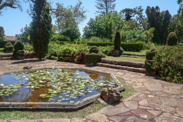 Sao Goncalo Portugal August 2021 Sunken Garden Artificial Water Lily — Foto de Stock