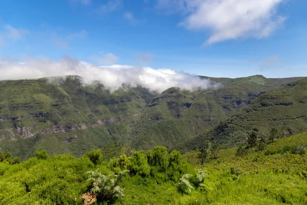 Madeira Portugal August 2021 General View Rabasal Nature Reserve Paul — Stock Photo, Image