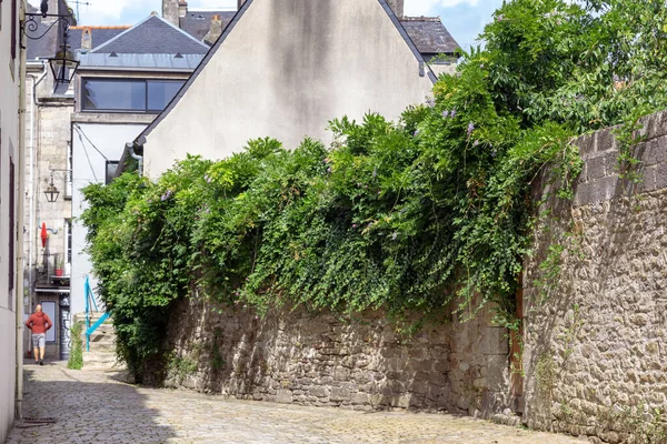 Quimper France September 2019 Stone Fence Entwined Plants Small Cozy — Stockfoto