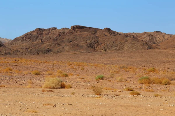 Erosive Rock Fragment Set Stony Landscape Colorful Arava Desert Israrel — 스톡 사진