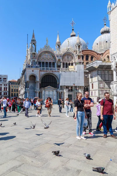 Venezia Italia Maggio 2018 Piccioni Turisti Nella Vivace Piazza San — Foto Stock