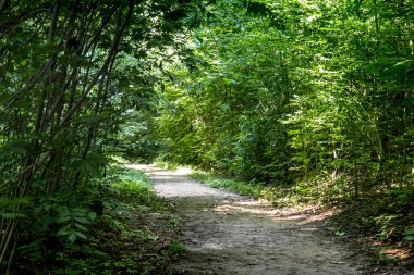 SharoVKA, UKRAINE - 27 Temmuz 2021 Burası eski toprak sahibi parkındaki asfalt bir yol..