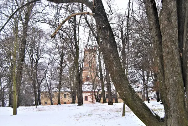 Kışın Drinov Şatosu