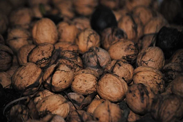 Güzel kabuklu cevizler.