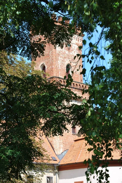 Schloss Drinov Sommer — Stockfoto