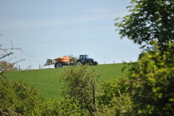 Yeşil bitkiler tarlasında traktör
