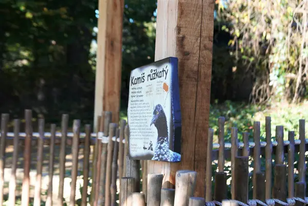 Eski ahşap bir evin çiti.