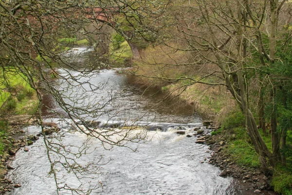 Rzeka Płynie Pod Mostem Otoczona Drzewami Gałęzie Wiosennej Scenerii Krajobrazu — Zdjęcie stockowe