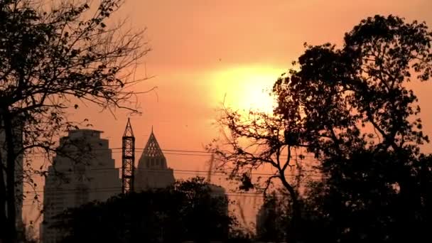 Coucher Soleil Timelapse Dans Fond Ville — Video