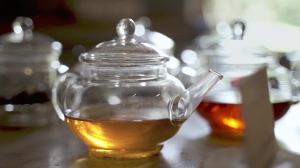 将热绿茶和红茶放在木桌上的透明玻璃杯茶壶中 — 图库视频影像