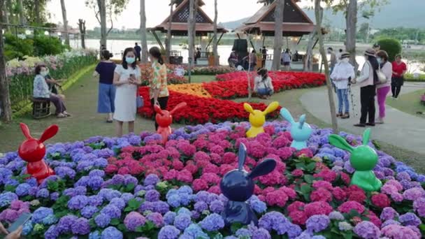 Чиангмай Таиланд Февраля 2022 Года Посетители Наслаждаются Вечером Внутри Chiang — стоковое видео